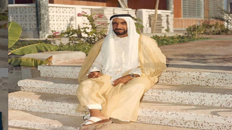 الشيخ زايد بن سلطان آل نهيان